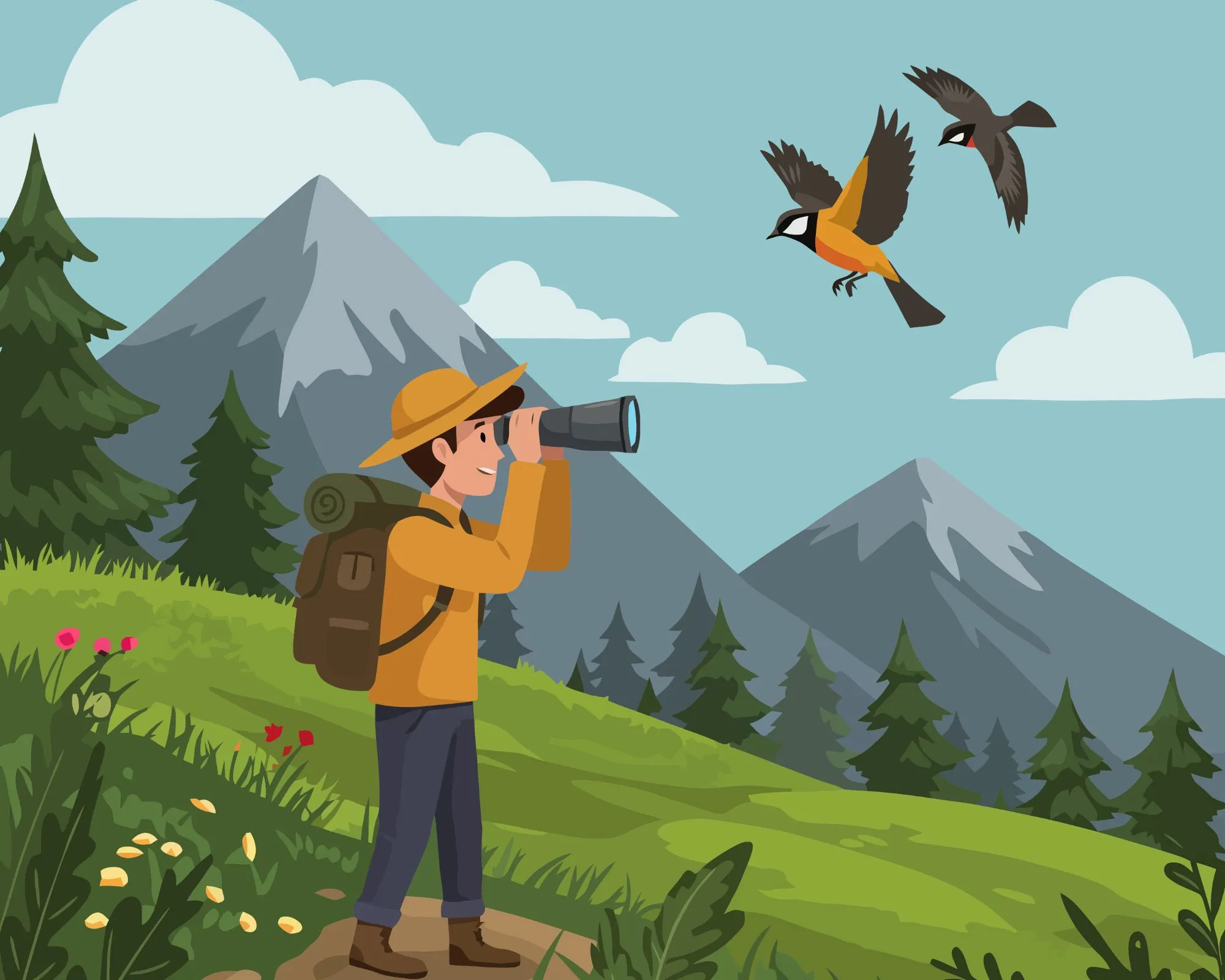 meilleures jumelles observer oiseaux nature